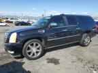 2010 CADILLAC ESCALADE