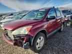2010 HONDA CR-V