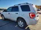 2009 FORD ESCAPE