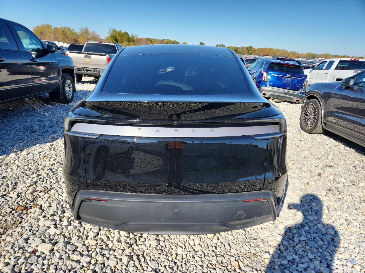 2026 TESLA MODEL Y