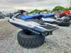 2023 YAMAHA