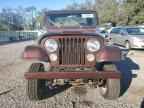 1981 JEEP Scrambler