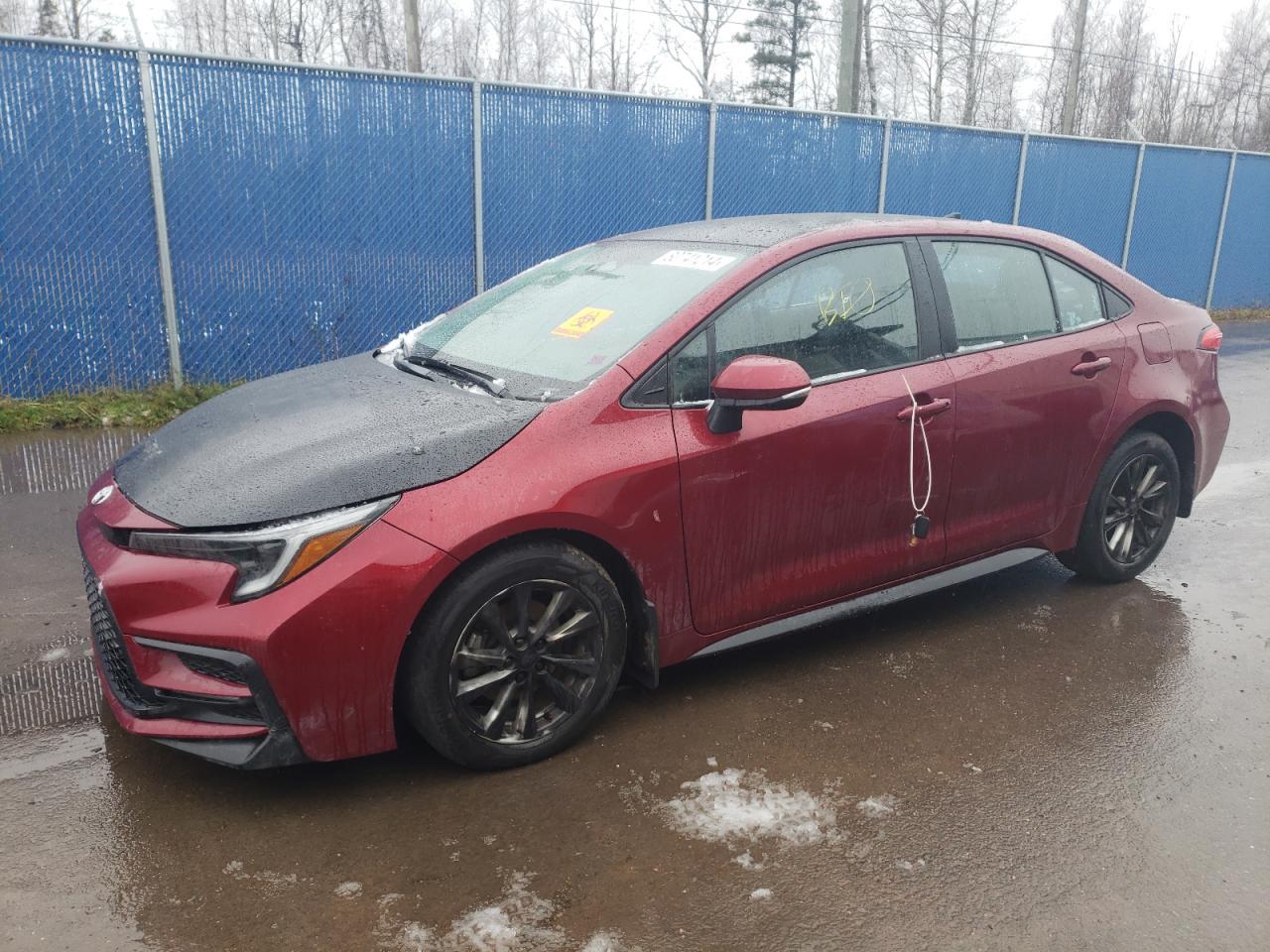 2023 TOYOTA COROLLA