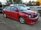 2009 TOYOTA COROLLA