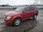 2009 FORD ESCAPE