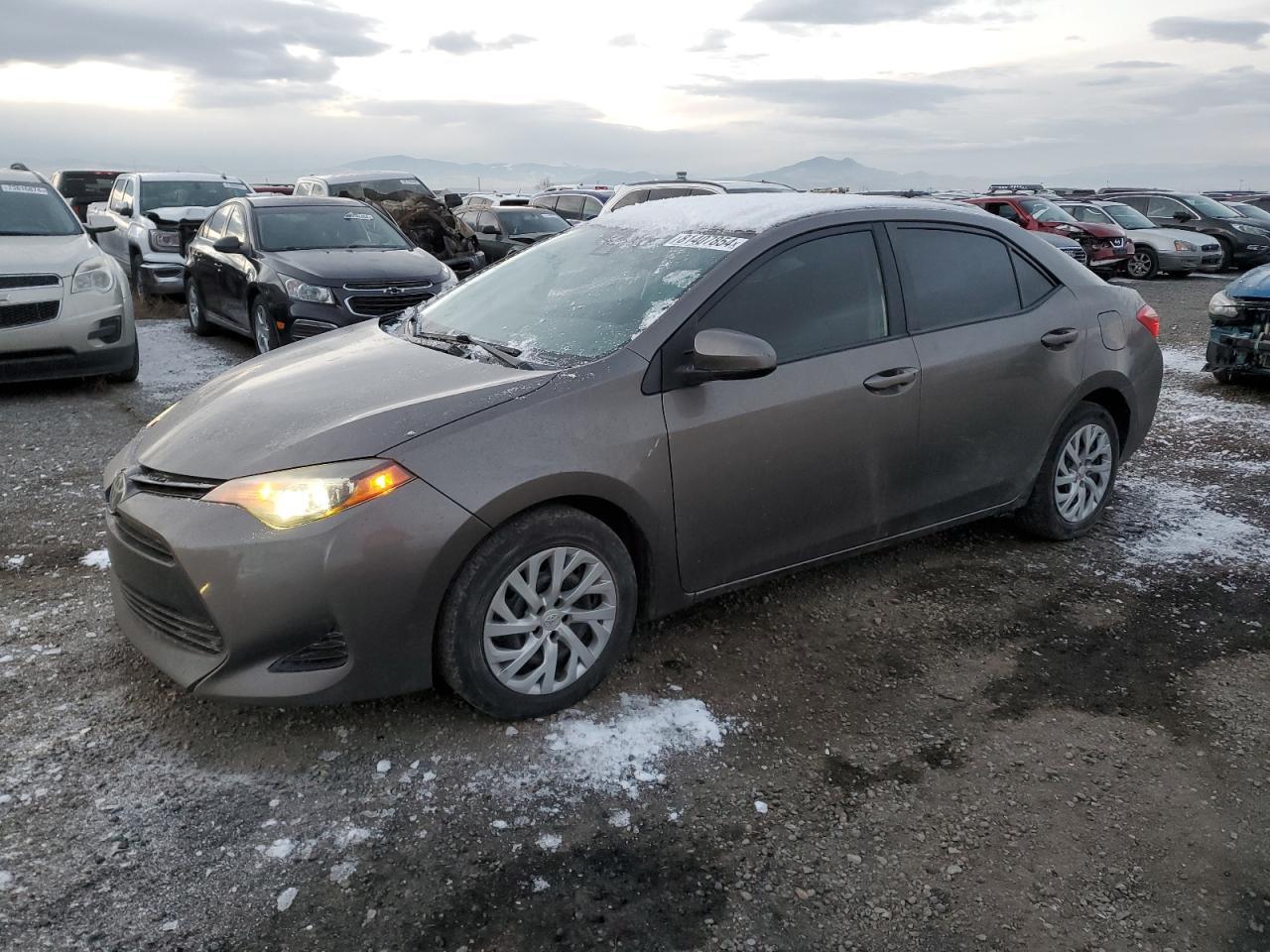 2019 TOYOTA COROLLA