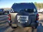 2010 JEEP Liberty