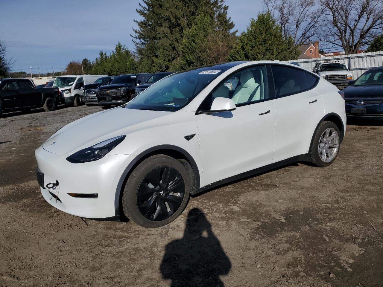 2024 TESLA MODEL Y