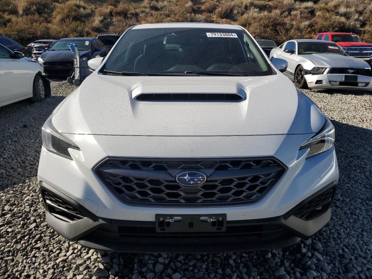 2024 SUBARU WRX