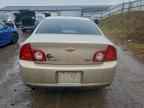 2010 CHEVROLET MALIBU