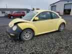 1999 VOLKSWAGEN Beetle