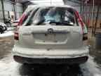 2009 HONDA CR-V