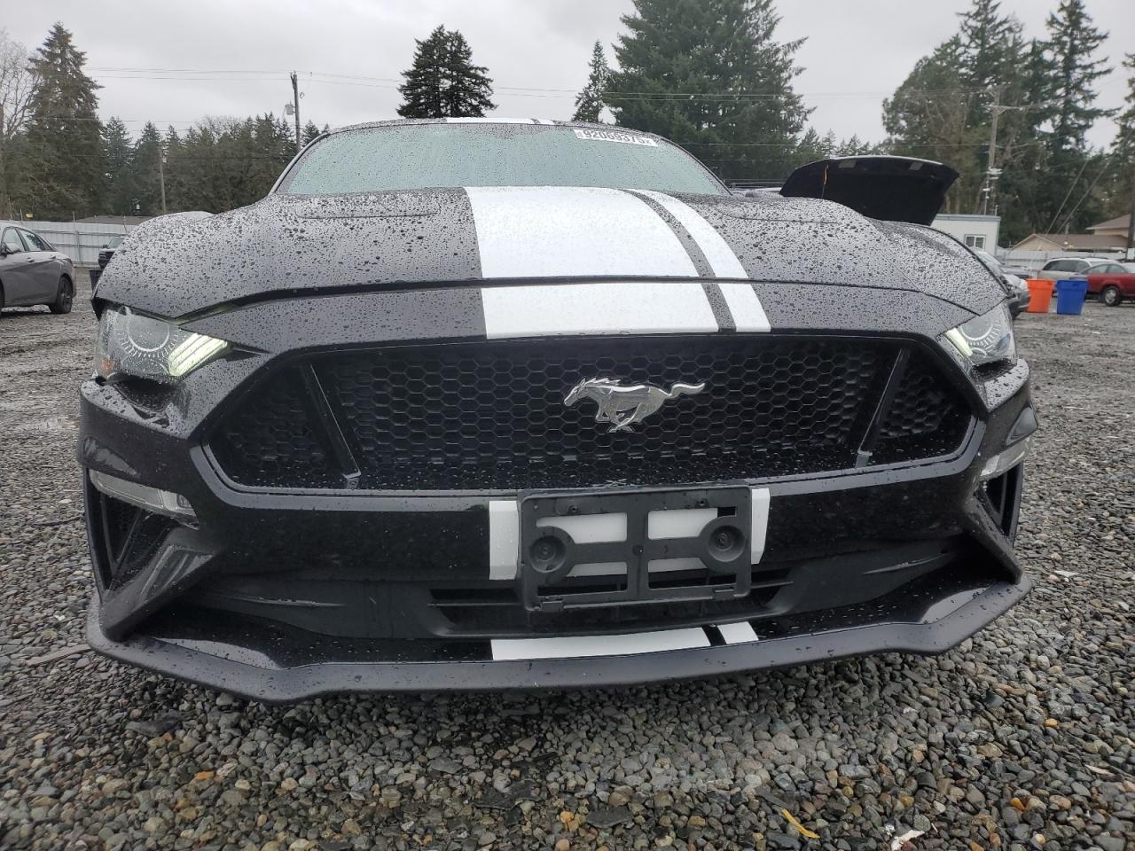 2019 FORD MUSTANG