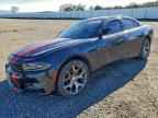 2015 DODGE CHARGER