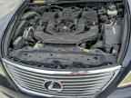 2007 LEXUS LS 460