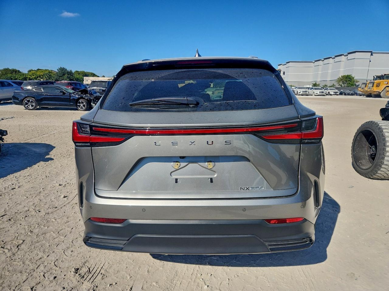 2025 LEXUS NX 250