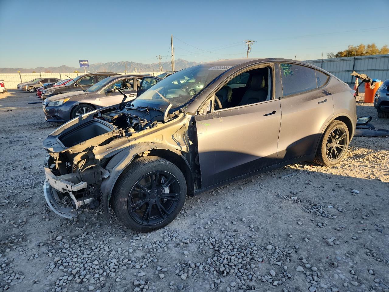 2021 TESLA MODEL Y