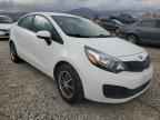 2013 KIA RIO