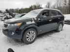 2011 KIA SORENTO
