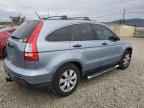 2007 HONDA CR-V