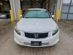 2010 HONDA ACCORD