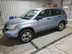 2010 HONDA CR-V