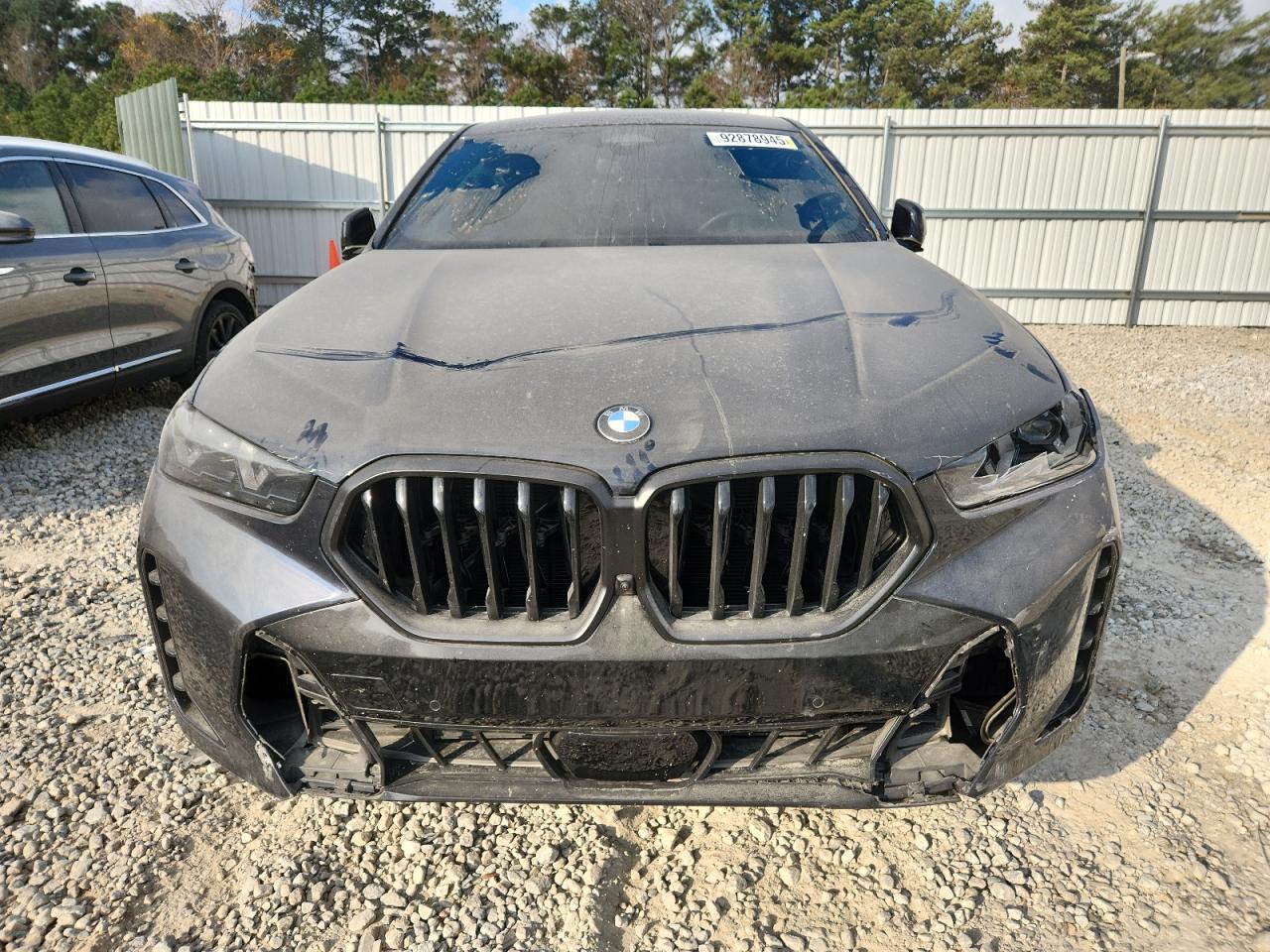 2024 BMW X6