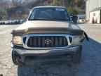 2003 TOYOTA TACOMA