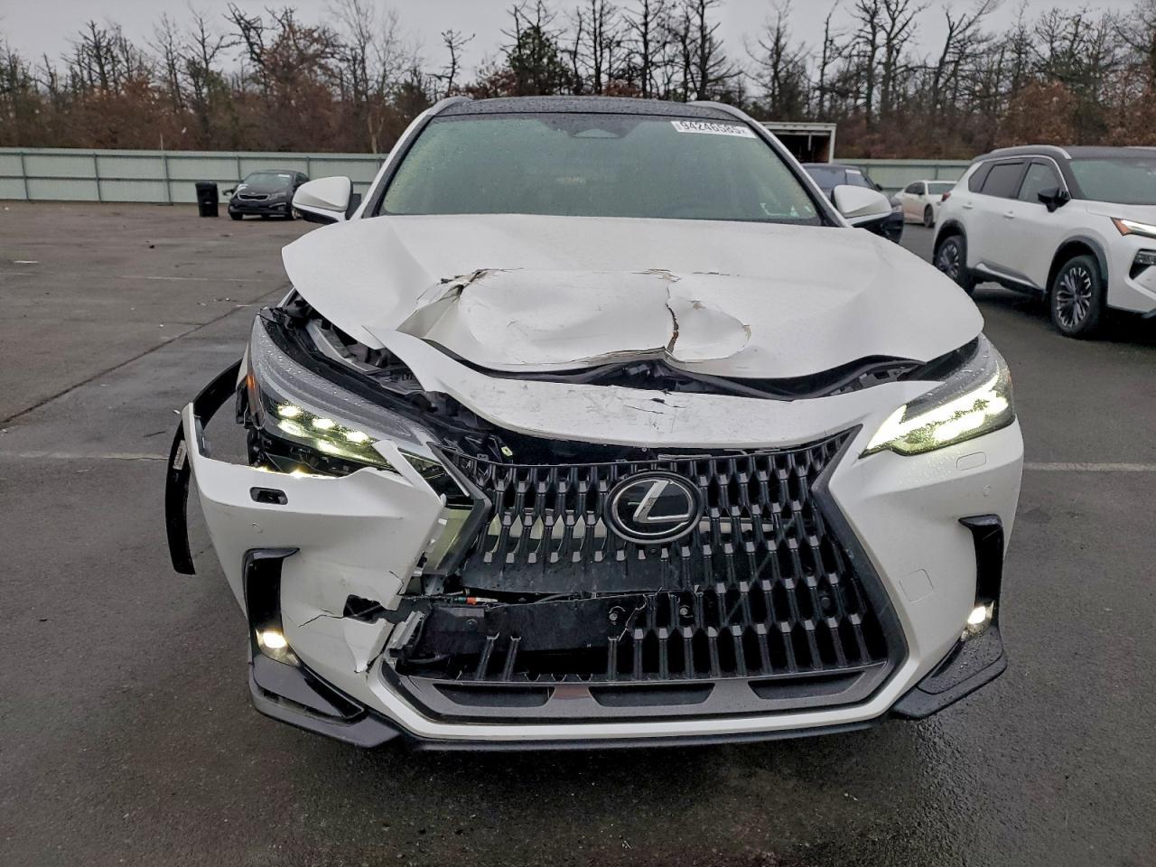 2025 LEXUS NX 350