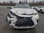 2025 LEXUS NX 350