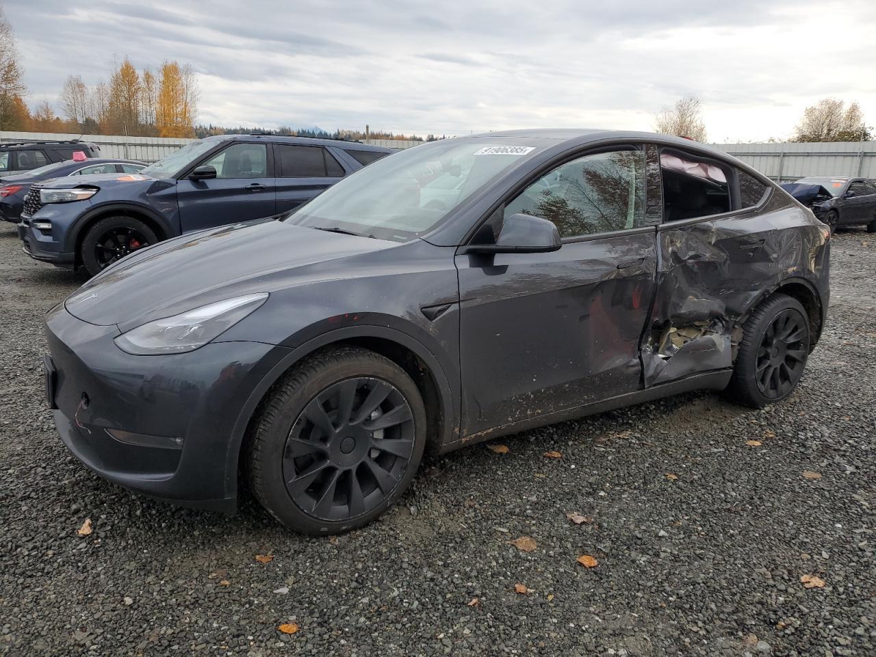 2024 TESLA MODEL Y
