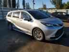 2023 TOYOTA SIENNA