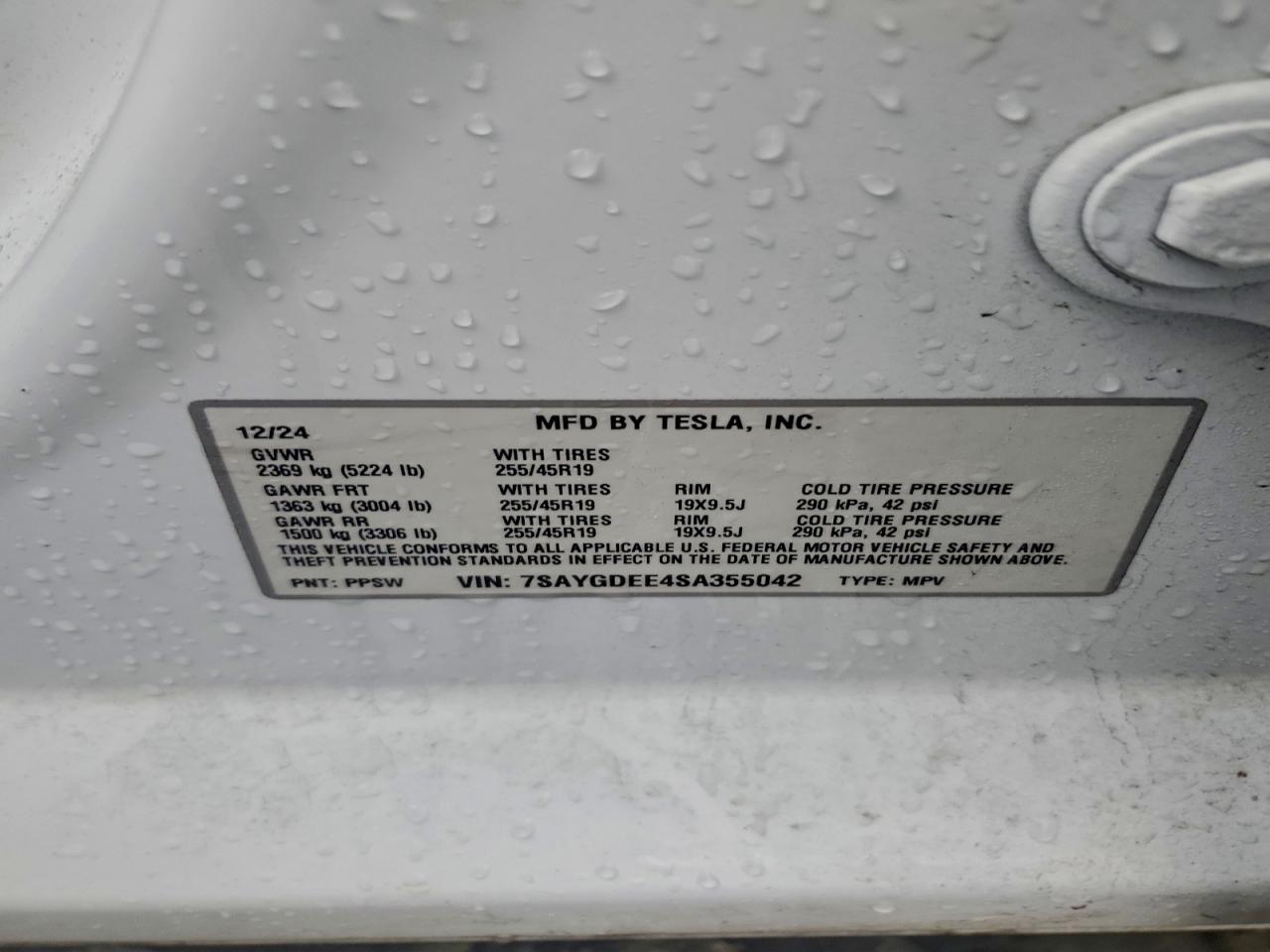 2025 TESLA MODEL Y