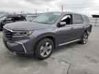 2023 HONDA PILOT