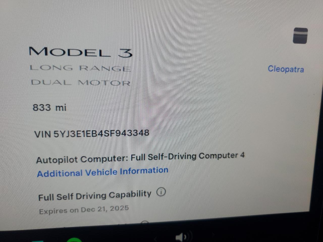 2025 TESLA MODEL 3