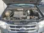 2009 FORD ESCAPE