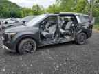 2025 KIA Carnival