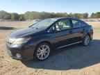 2010 LEXUS HS 250h