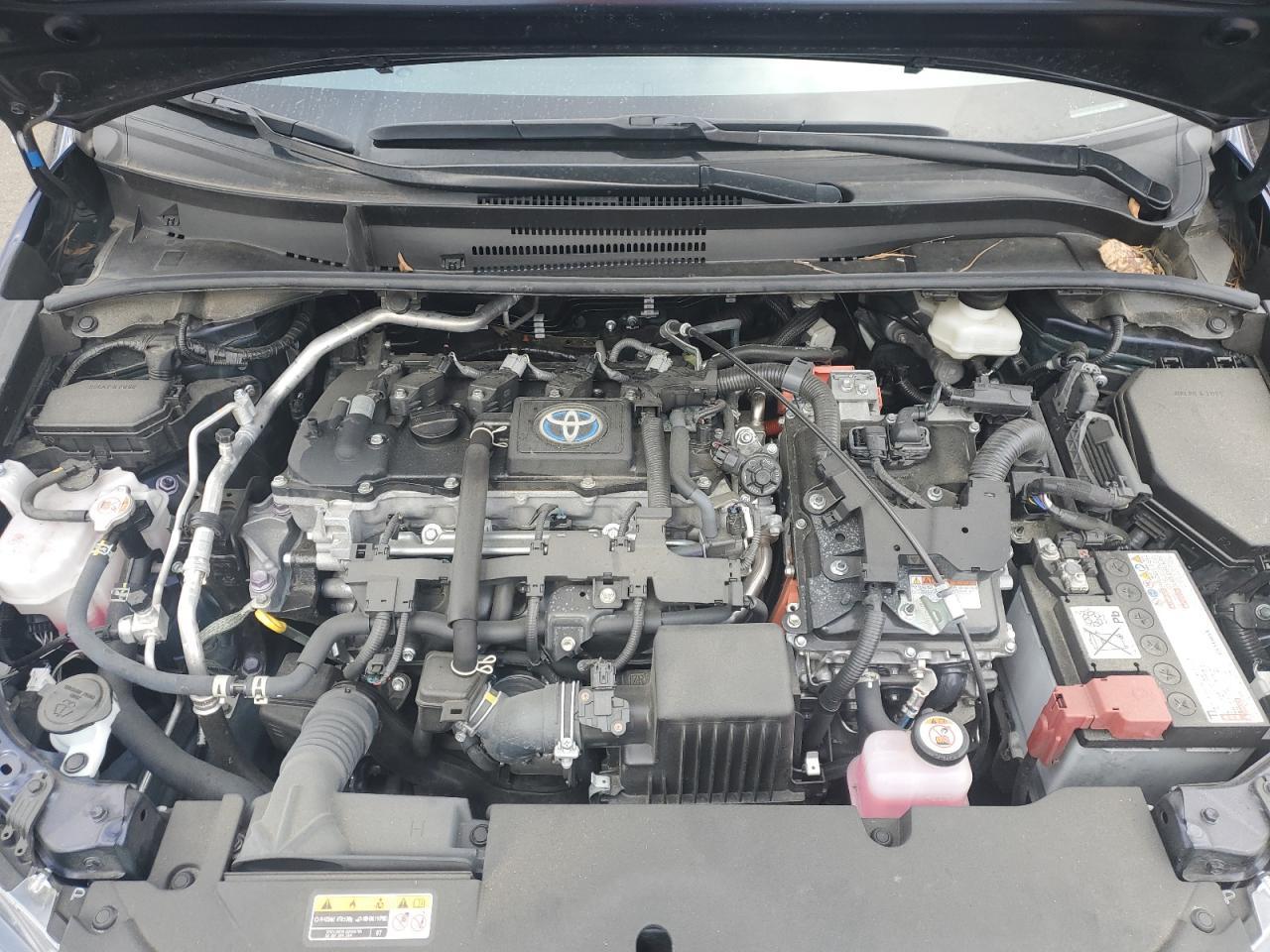 2024 TOYOTA COROLLA