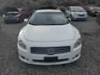 2009 NISSAN Maxima