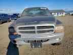 2000 DODGE Dakota