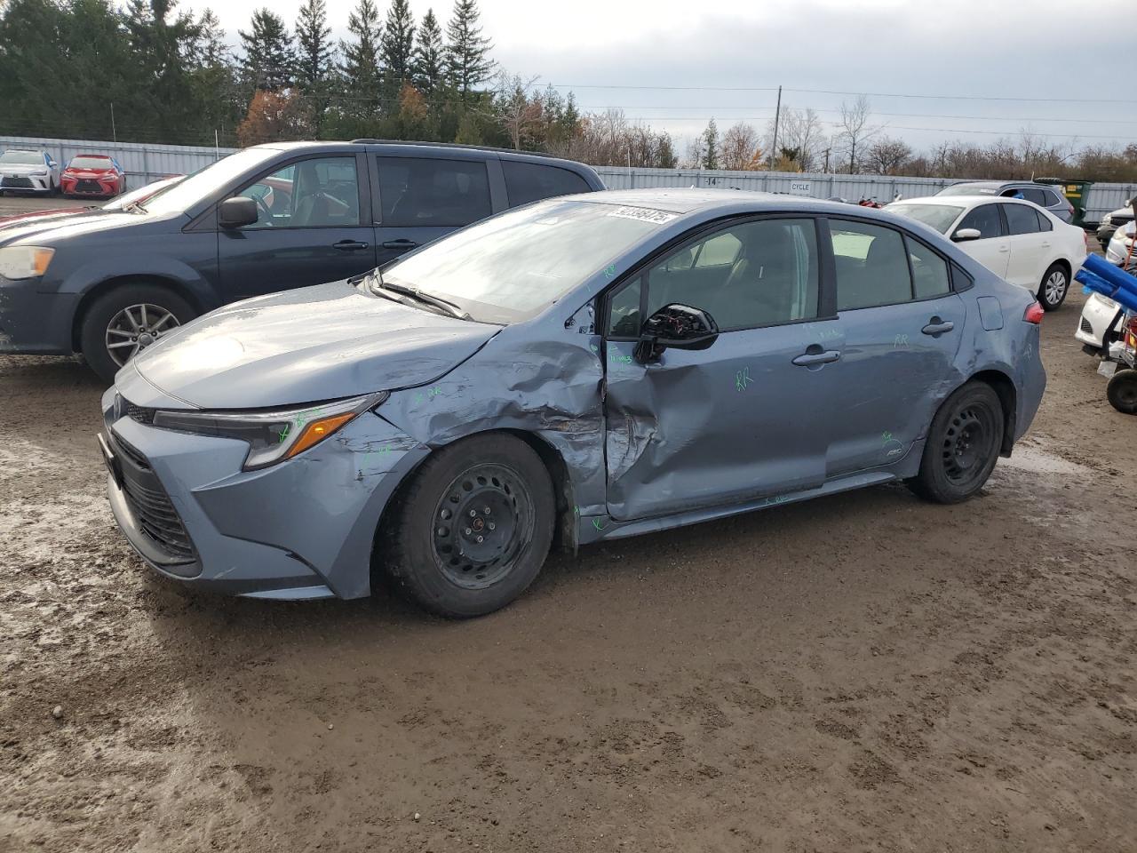 2025 TOYOTA COROLLA