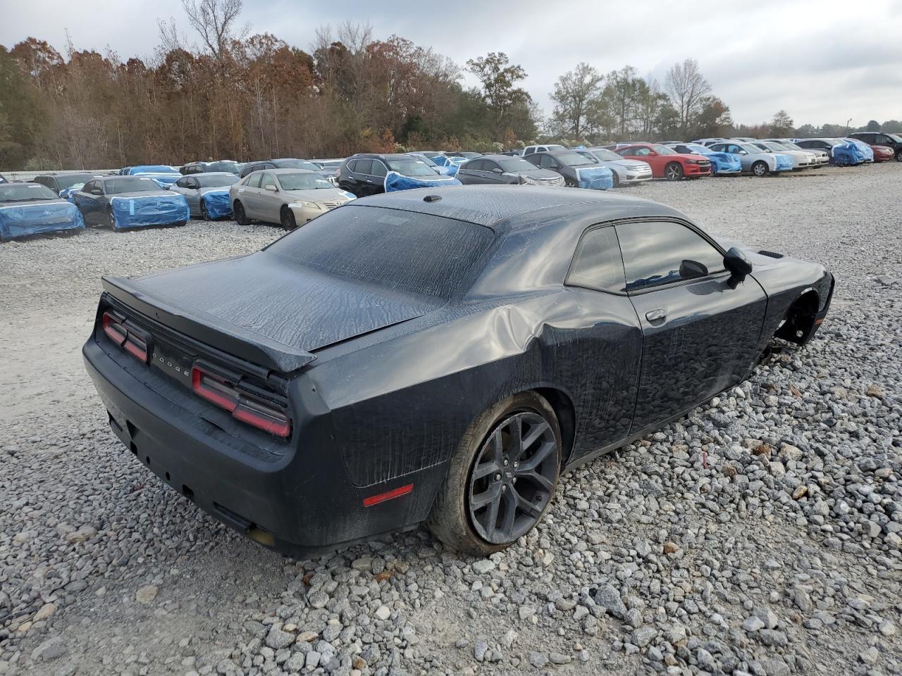 2019 DODGE Challenger