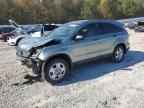 2010 HONDA CR-V