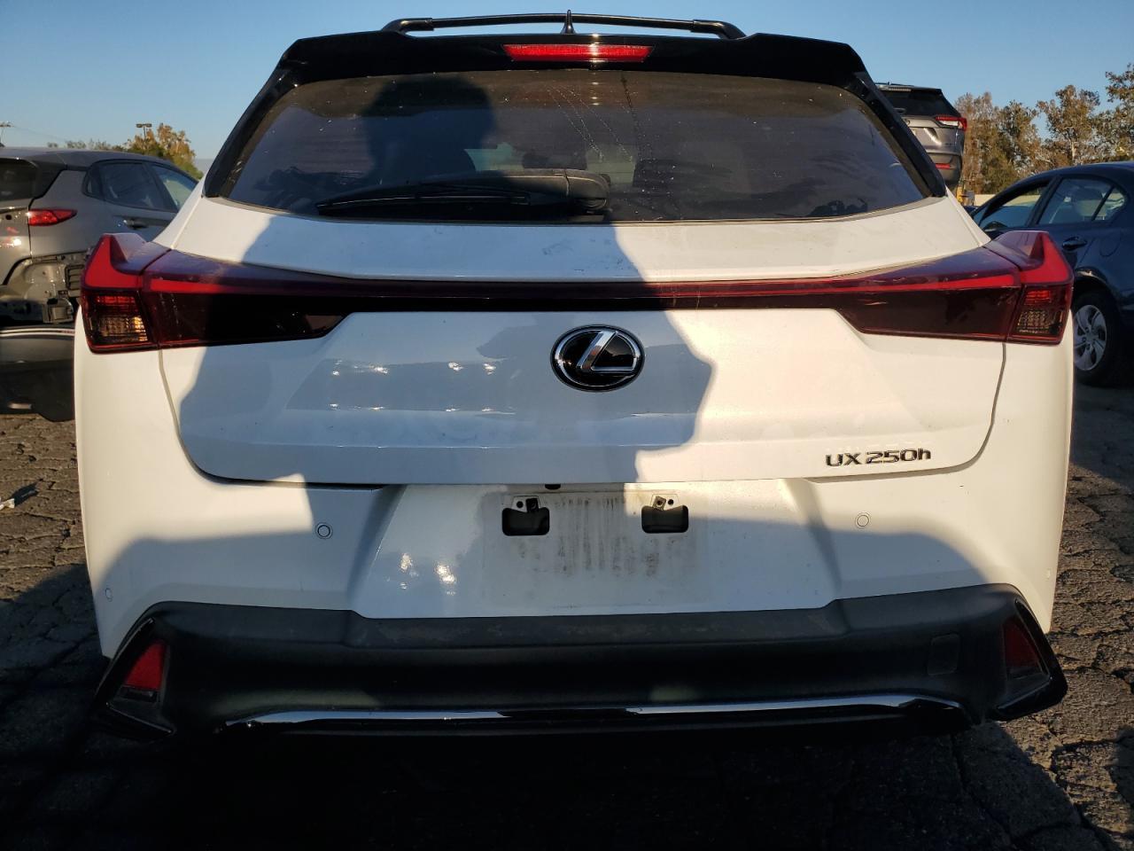2023 LEXUS UX 250H