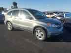 2010 HONDA CR-V