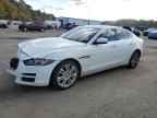 2019 JAGUAR XE