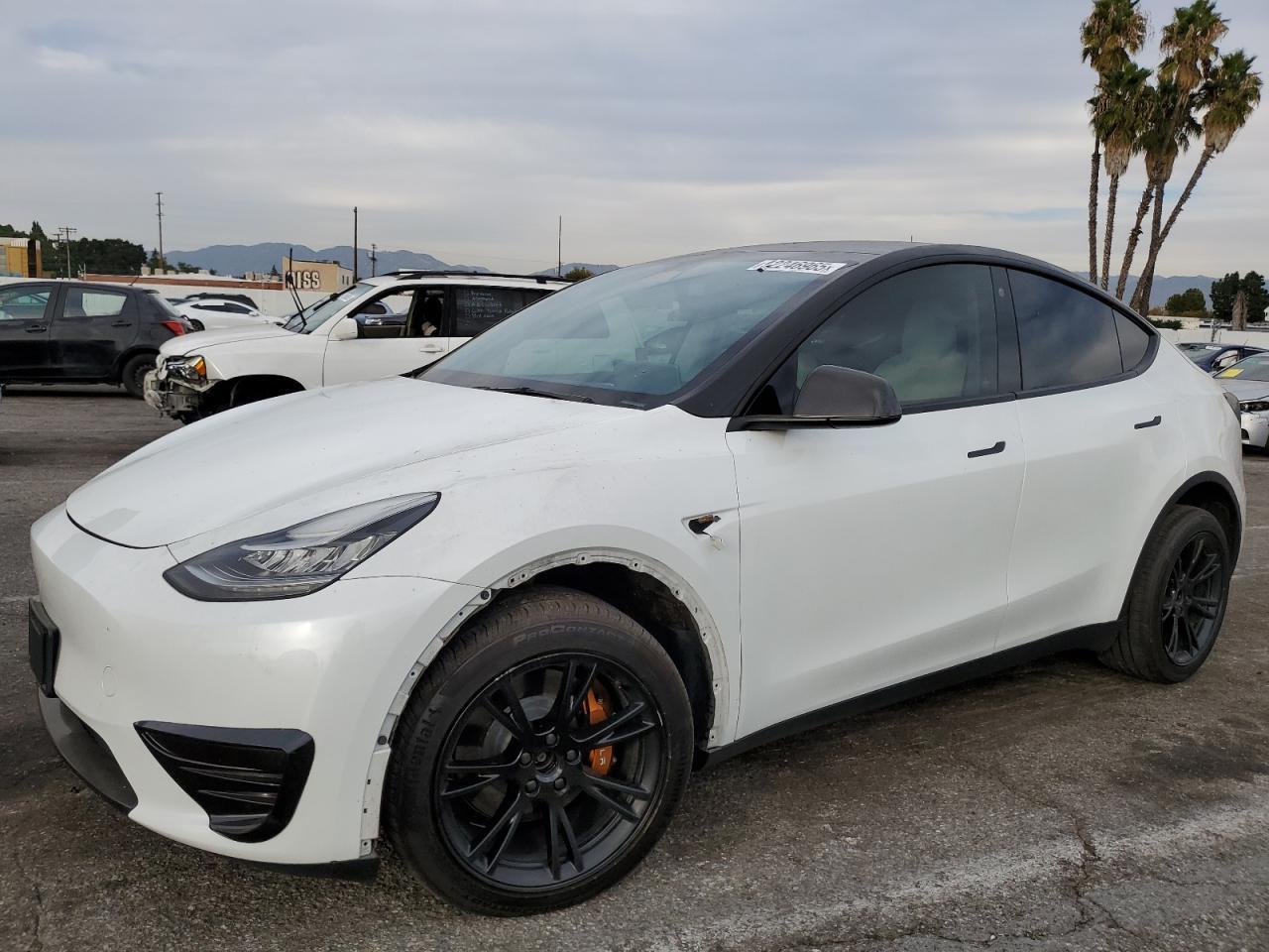 2023 TESLA MODEL Y