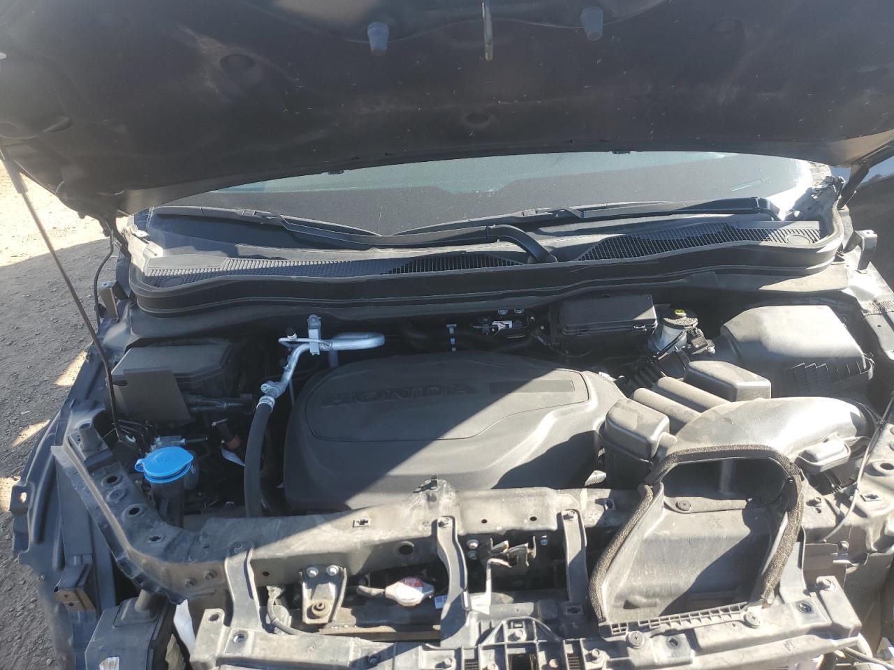 2023 HONDA Passport
