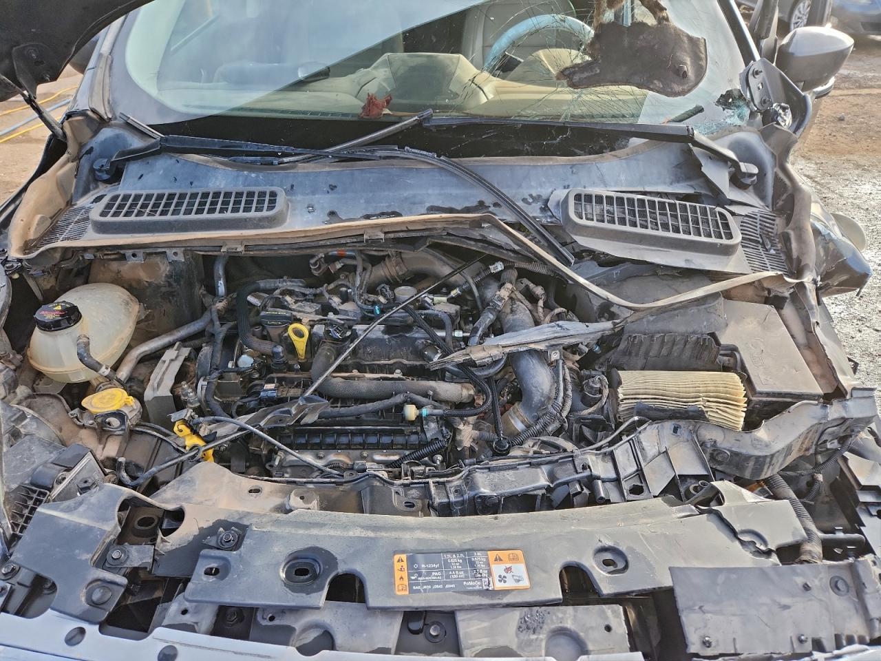 2019 FORD ESCAPE